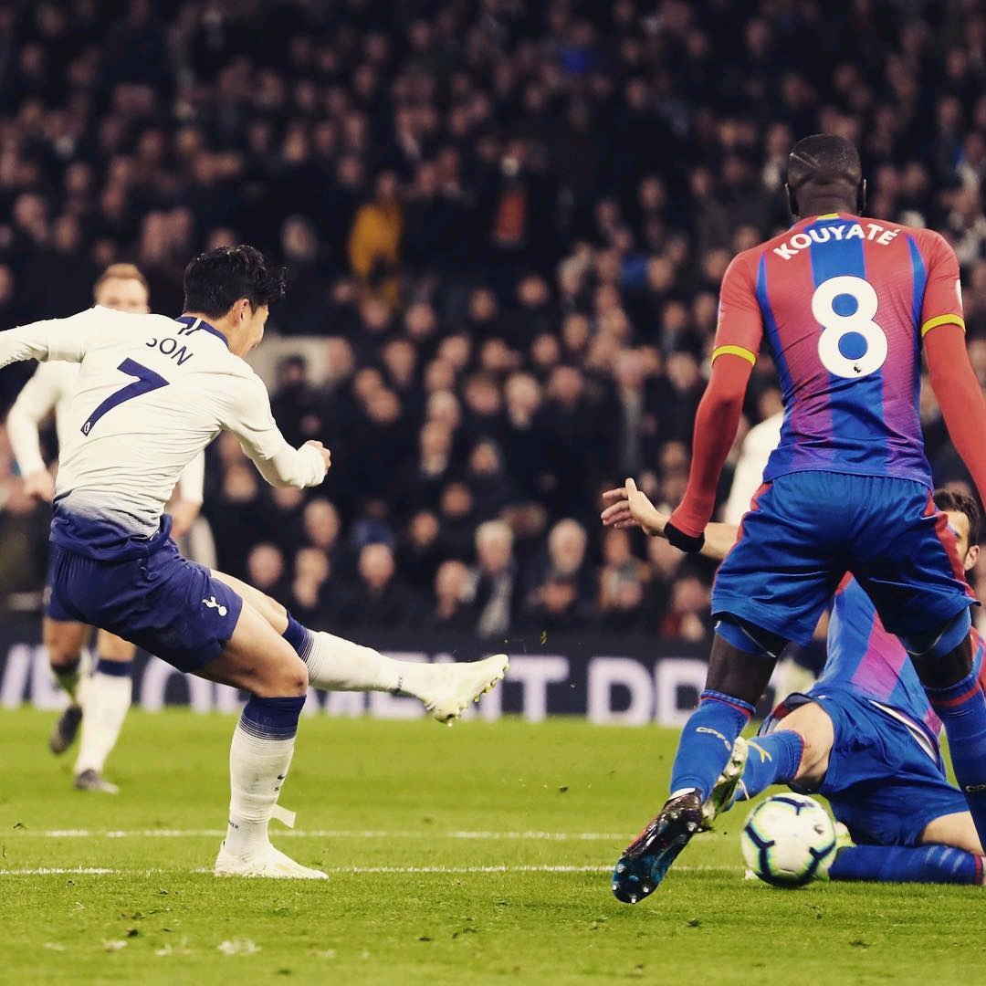 们的努力与 们的努力与